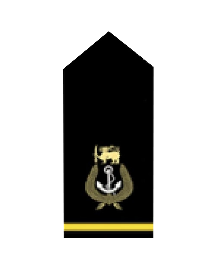 Air Chief Marshal